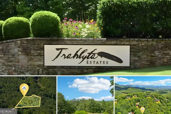 0 Ranch Mountain Court, Dahlonega, GA 30533