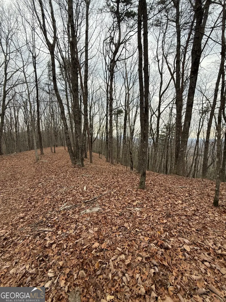 LOT 7 Westmoreland Road, Cleveland, GA 30528 - #2