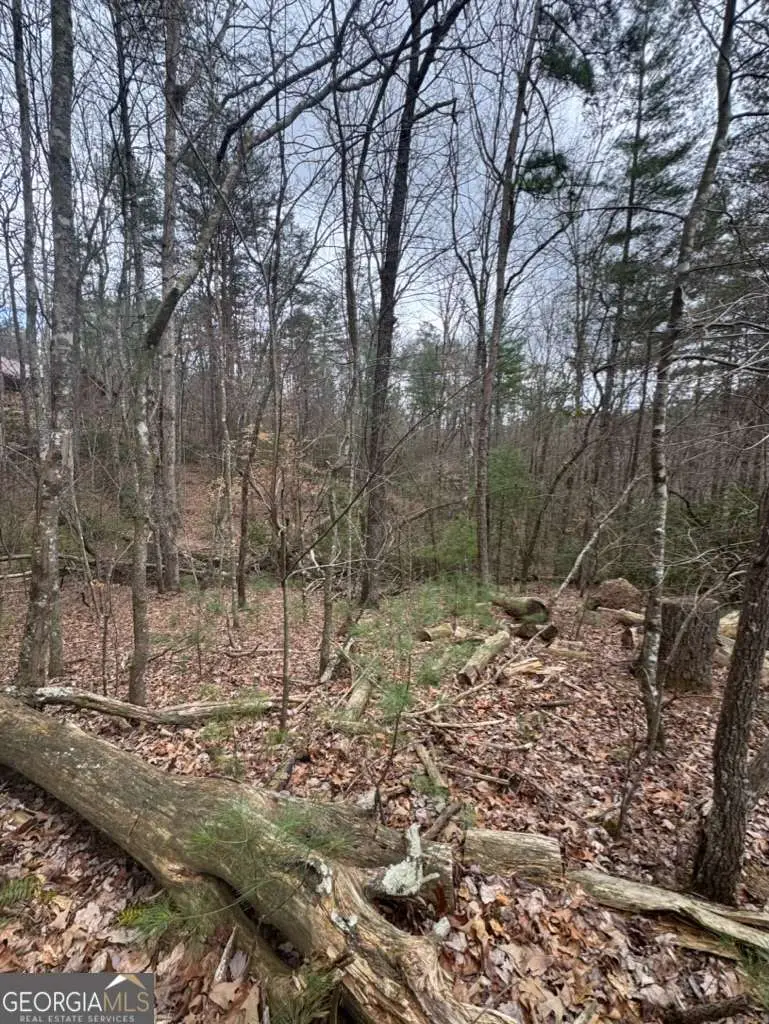 LOT 16R Leatherwood Mountain Road, Cherry Log, GA 30522 - #1