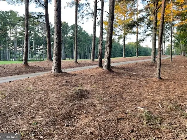 32 Duval Court, Villa Rica, GA 30180 - #3