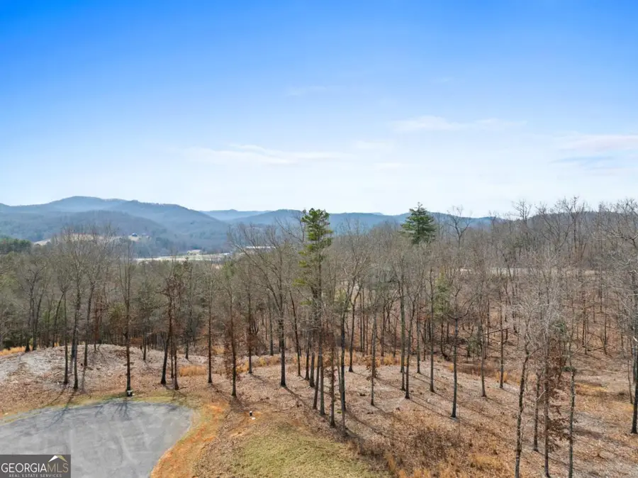 LOT 162 Ridges Of Blue Ridge, Morganton, GA 30560 - #3
