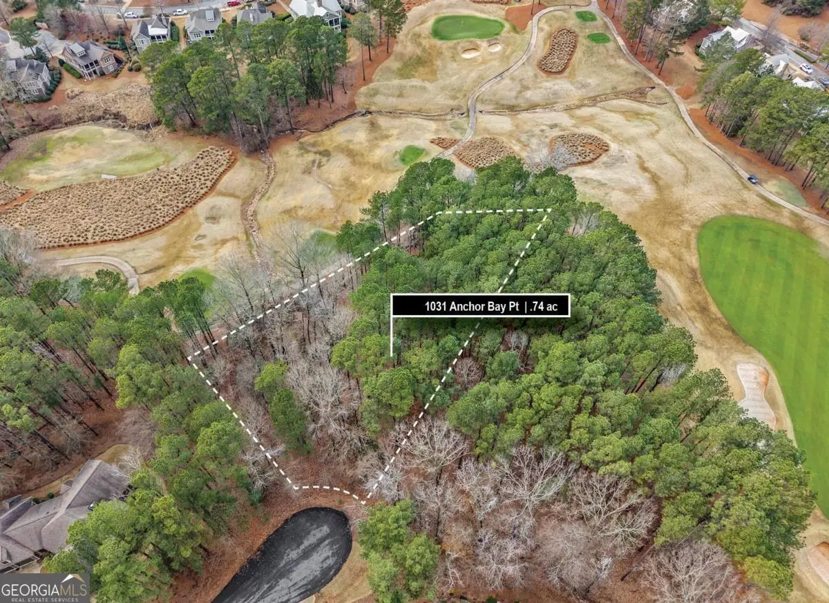 1031 Anchor Bay Point, Greensboro, GA 30642 - #1