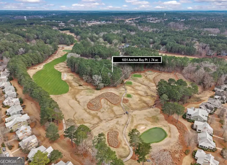 1031 Anchor Bay Point, Greensboro, GA 30642 - #3
