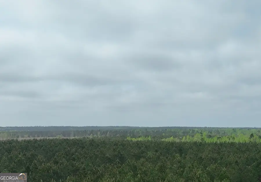 02 Saint Galilee Road, Swainsboro, GA 30401 - #3