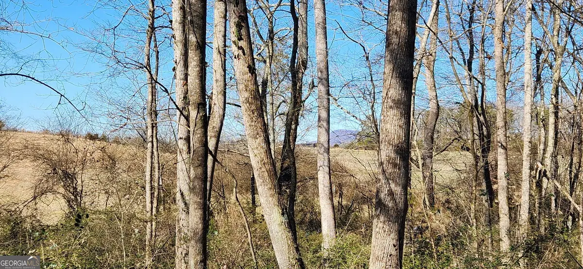 5500 Brookton Lula Road, Gainesville, GA 30506 - #1