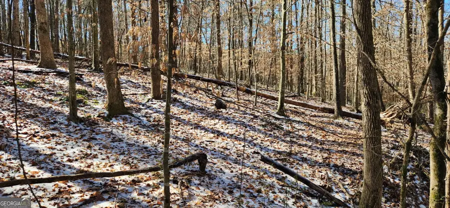 5500 Brookton Lula Road, Gainesville, GA 30506 - #2