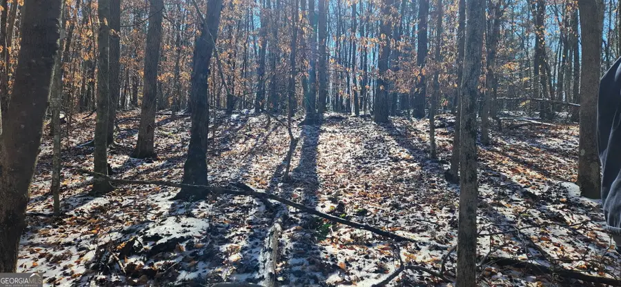 5500 Brookton Lula Road, Gainesville, GA 30506 - #3