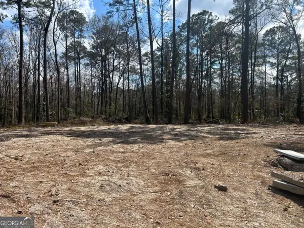 0 Little Mccall Road, Rincon, GA 31326