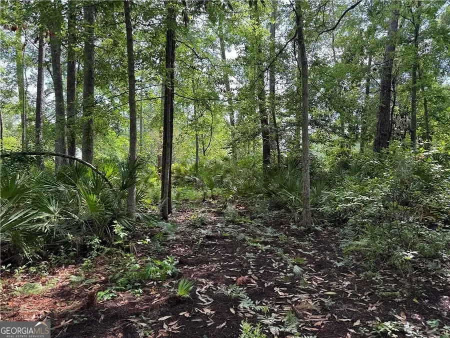 LOT 23-D Black Tern Way, Waverly, GA 31565 - #3