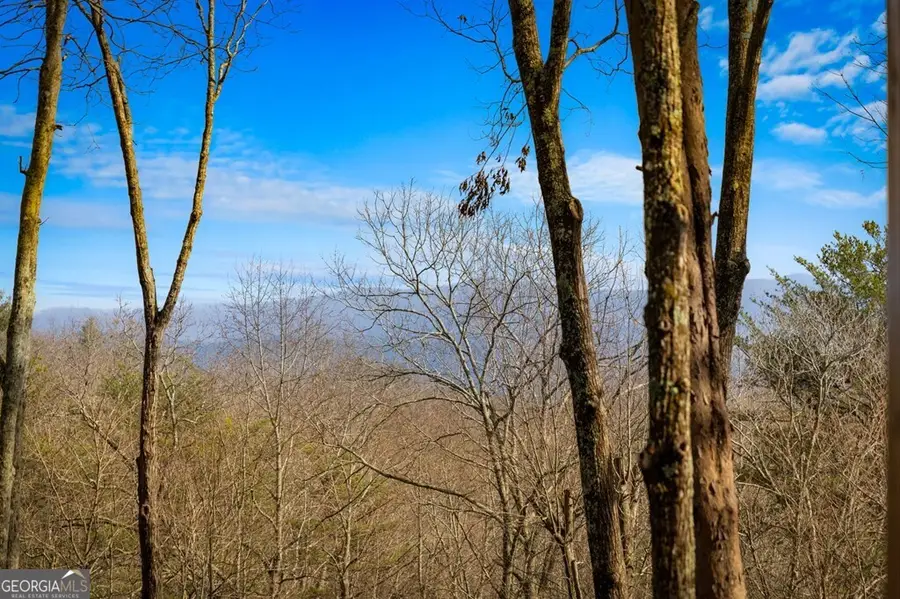 275 N Moreland Drive, Cherry Log, GA 30522 - #3