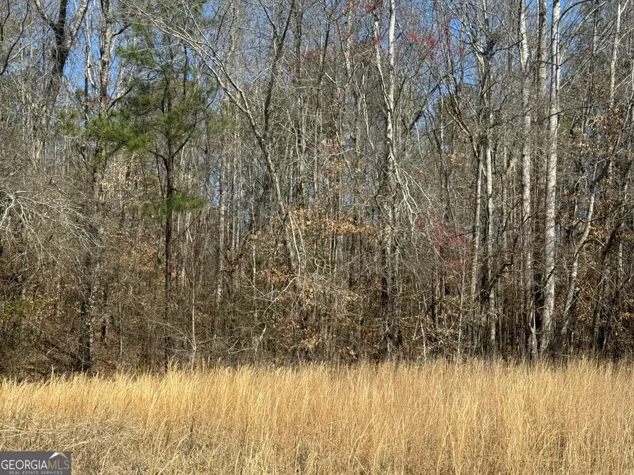 LOT 13 Mary Drive, Roanoke, AL 36274 - #2
