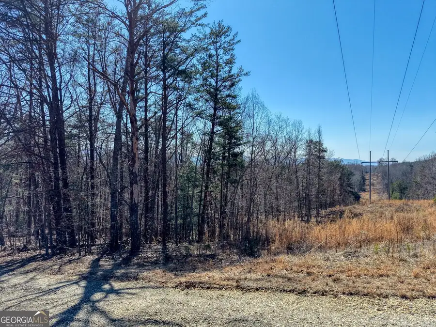 3.46 ACRES Smokey Hills, Blairsville, GA 30512 - #2