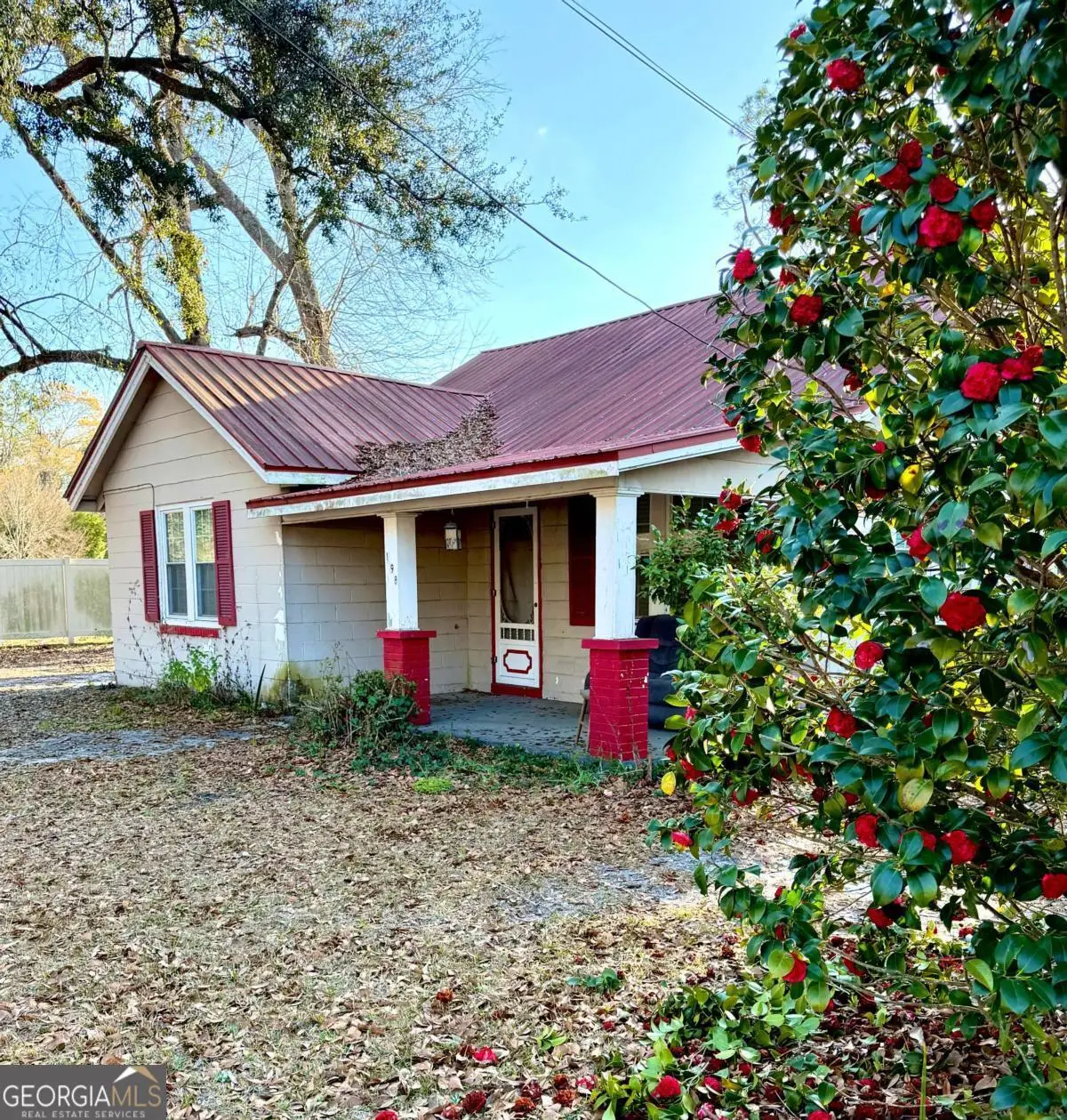 198 Holmesville Avenue, Baxley, GA 31513 - #1