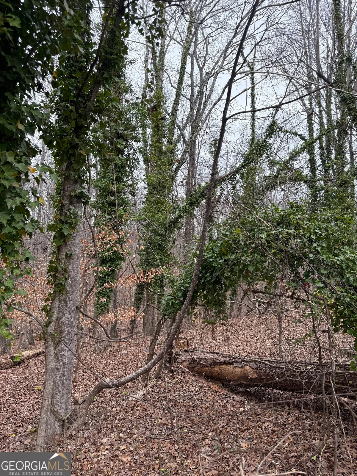 3629 Looper Circle, Gainesville, GA 30506 - #1