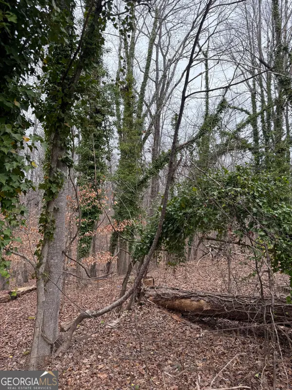 3629 Looper Circle, Gainesville, GA 30506