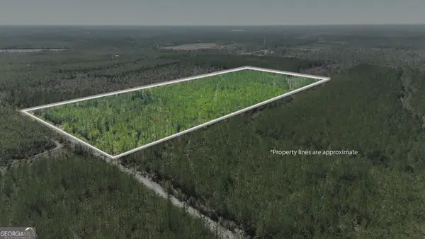 21 A Gun Metal Road, Manor, GA 31550