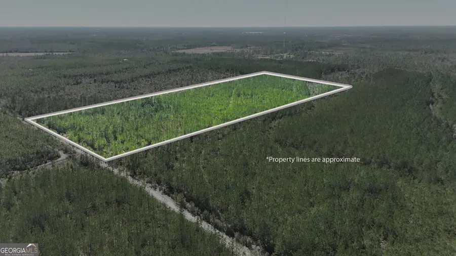 21 A Gun Metal Road, Manor, GA 31550 - #2