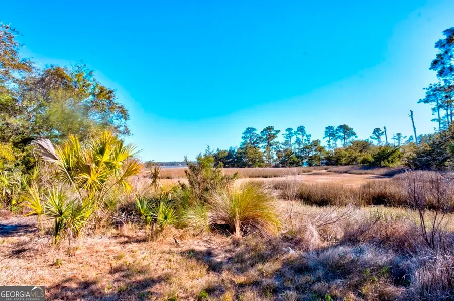 0 Cattle Hammock Road, Midway, GA 31320 - #2