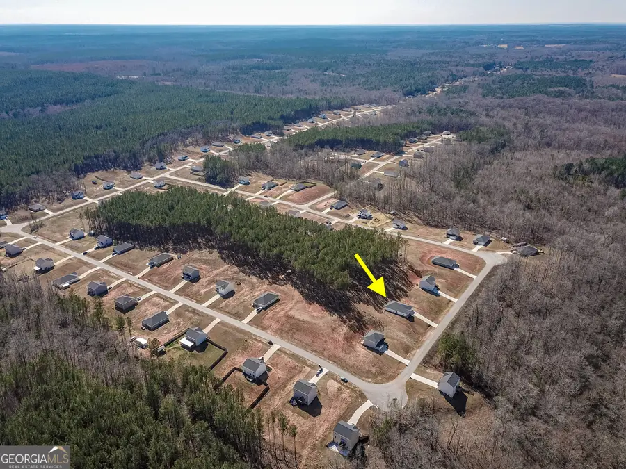 1617 Hunter Welch Parkway, Luthersville, GA 30251 - #3