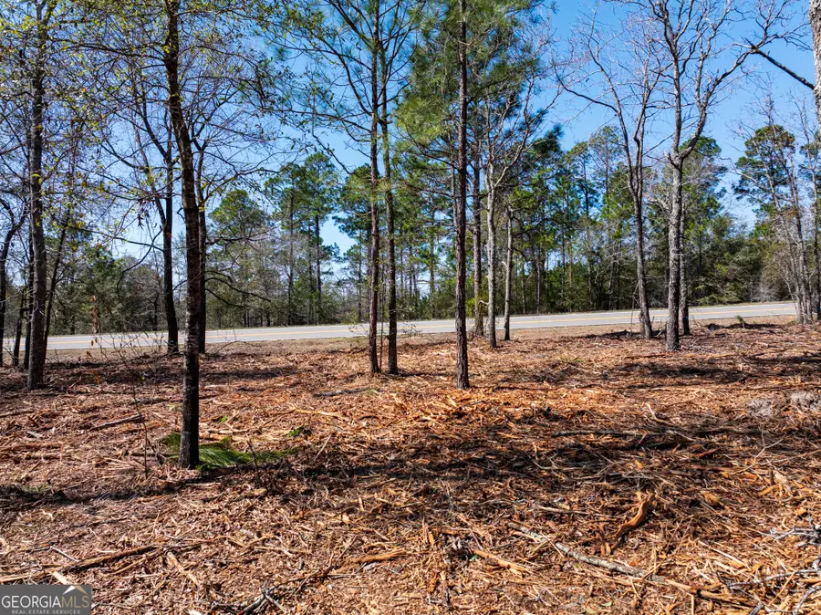 10.51 ACRES River Road #LOT 1, Waynesboro, GA 30830 - #2