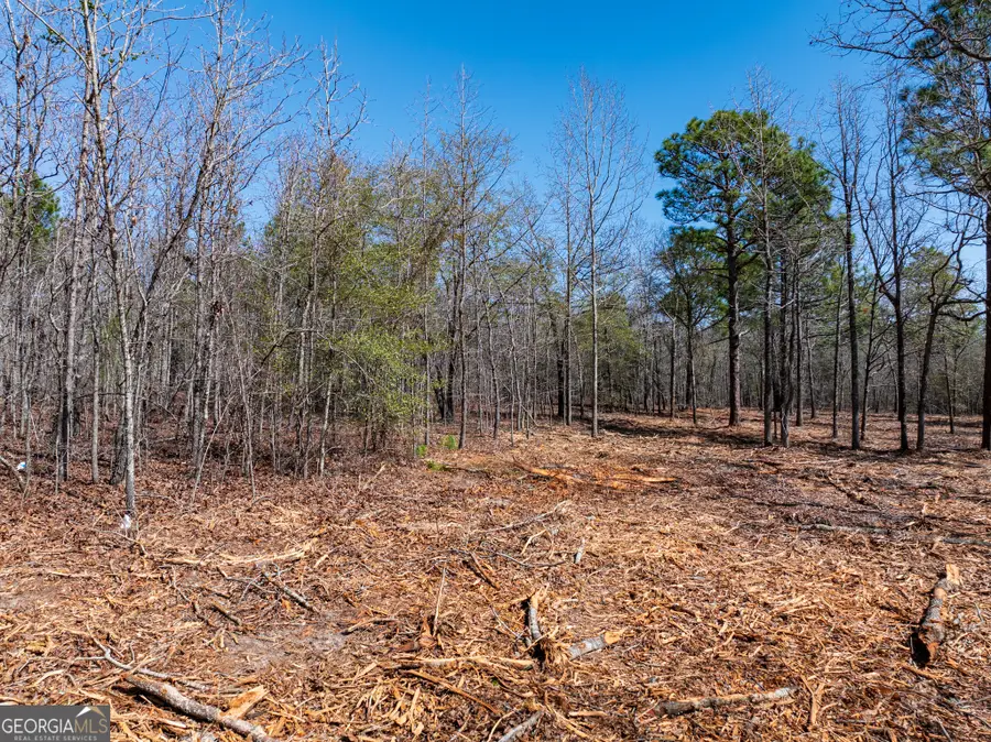 10.5 ACRES River Road #LOT 2, Waynesboro, GA 30830 - #3