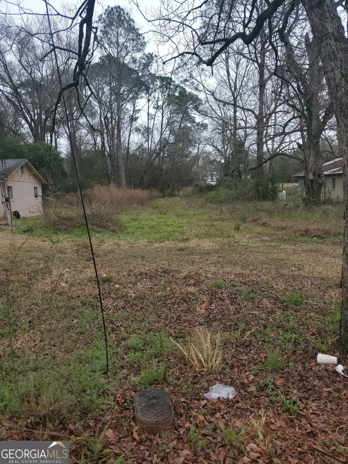 301 Shipp Lane, Sylvester, GA 31791 - #1