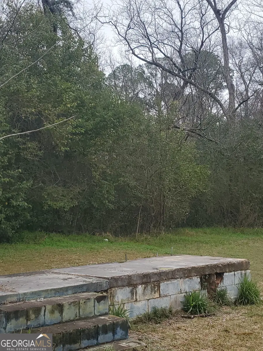 301 Shipp Lane, Sylvester, GA 31791 - #2