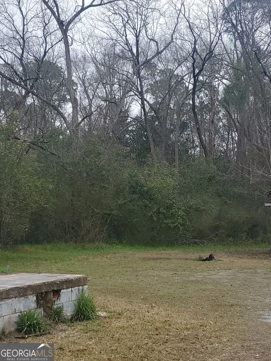 301 Shipp Lane, Sylvester, GA 31791 - #3