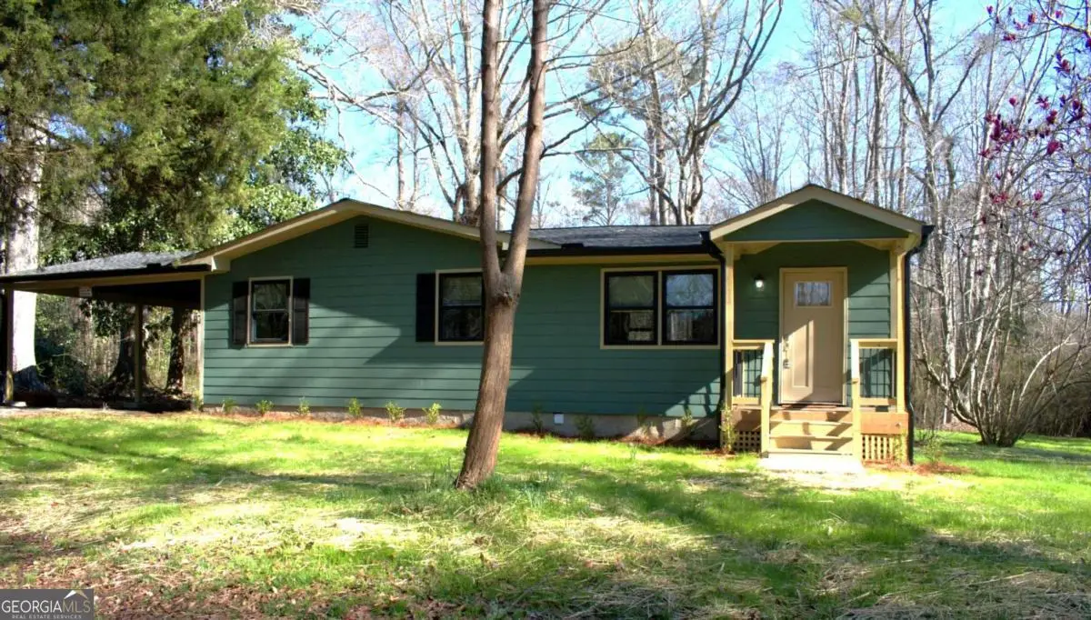 179 George Revell Street, Senoia, GA 30276 - #1