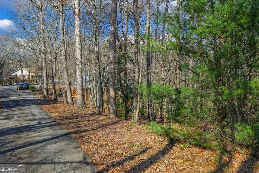 55 Spruce Drive #55, Ellijay, GA 30540 - #2