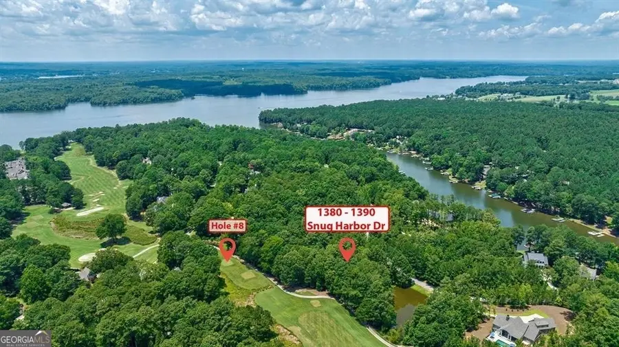 1380 Snug Harbor Drive, Greensboro, GA 30642 - #2