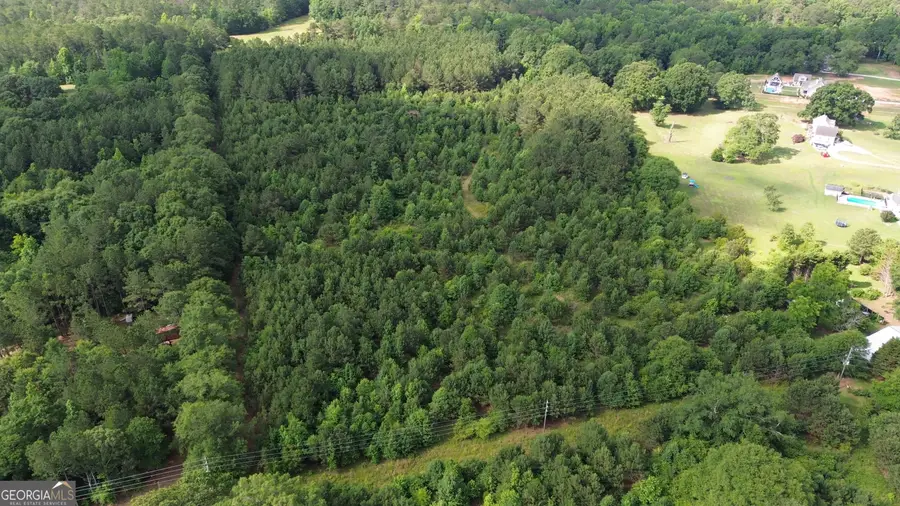 374 A Luther Bailey Road, Senoia, GA 30276 - #2