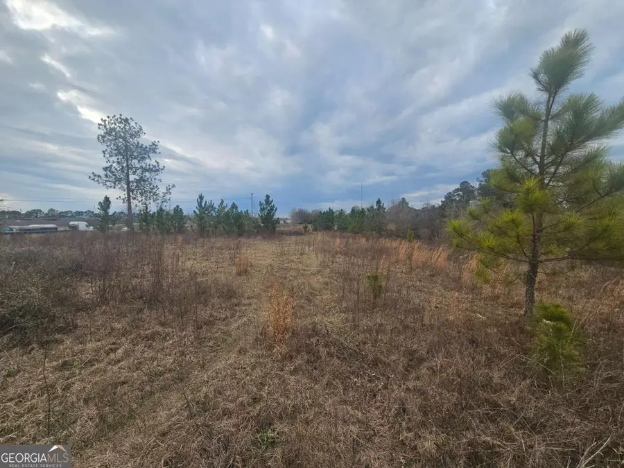 0 Snow Ridge Road, Ashburn, GA 31714 - #3