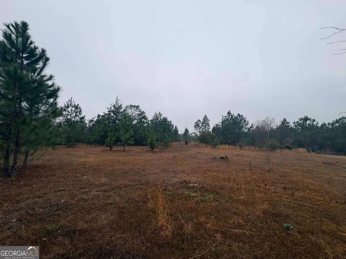 0 Hilltop Road, Baxley, GA 31513 - #1