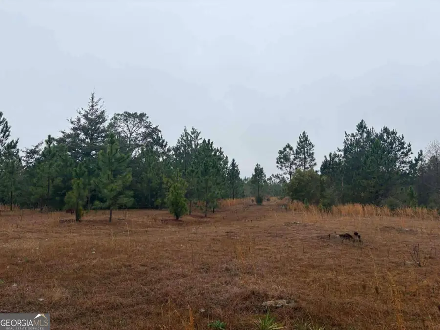 0 Hilltop Road, Baxley, GA 31513 - #2