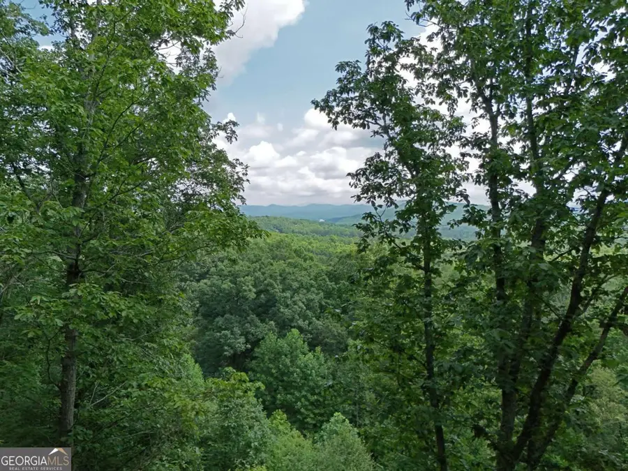 LOT 71 Chicory Drive W, Blairsville, GA 30512 - #2