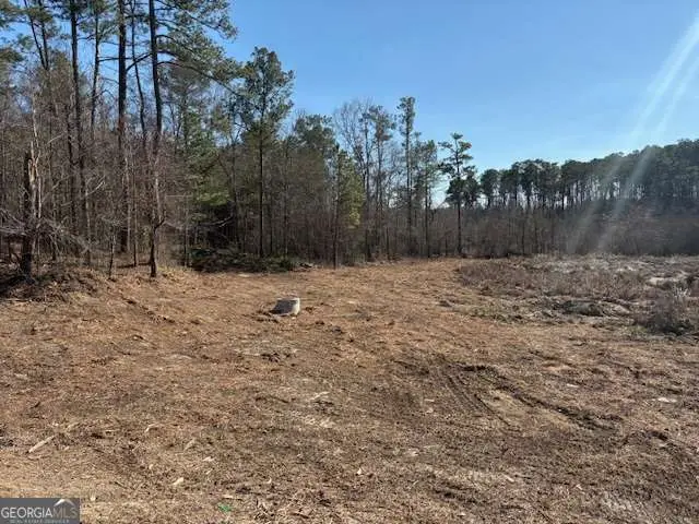 371 Angham Road, Hiram, GA 30141 - #3