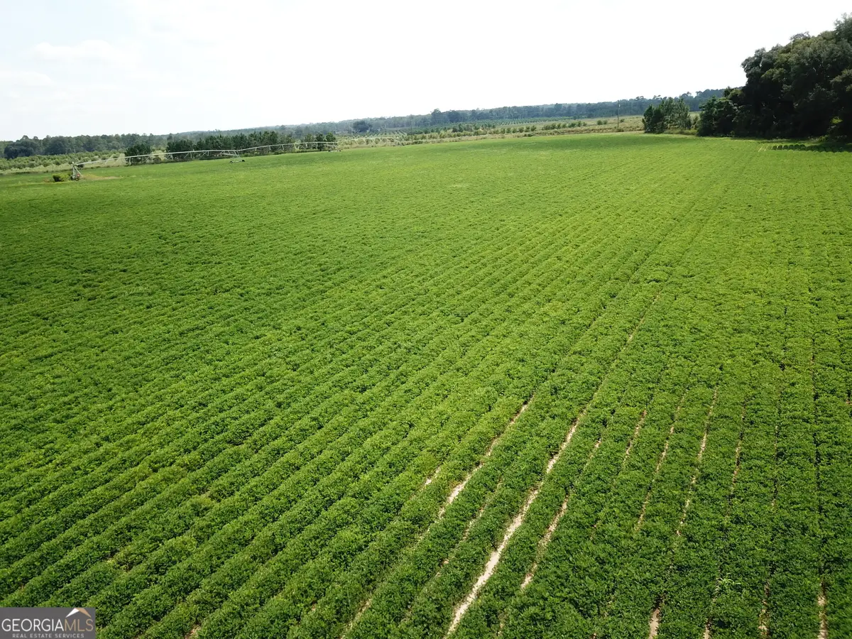 0 Highway 65, Camilla, GA 31730 - #1