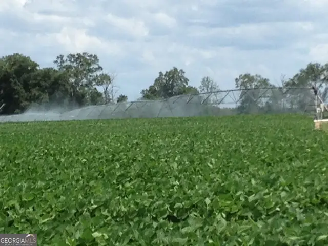 0 Highway 65, Camilla, GA 31730 - #3