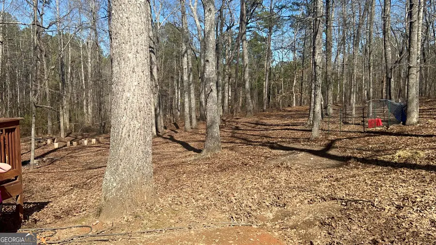 73 Friendship Church Road, Buchanan, GA 30113 - #3