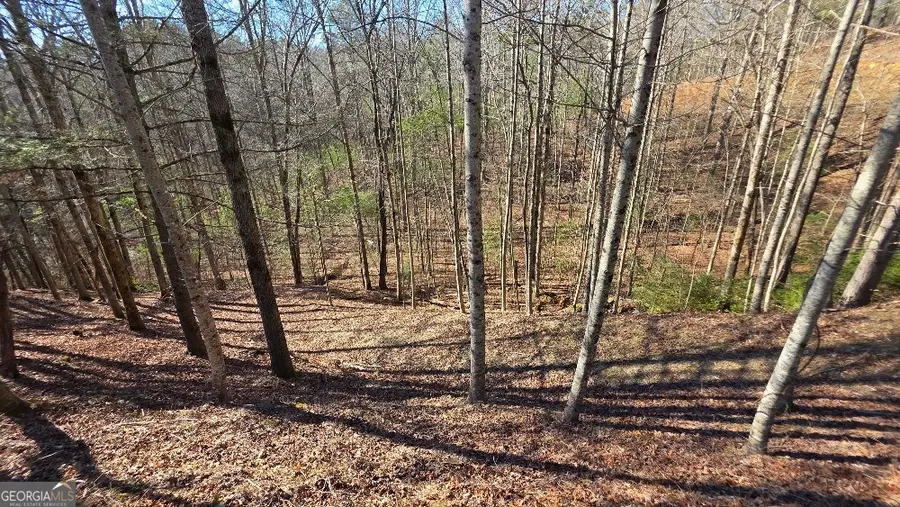 83R Cedar Road, East Ellijay, GA 30540 - #3