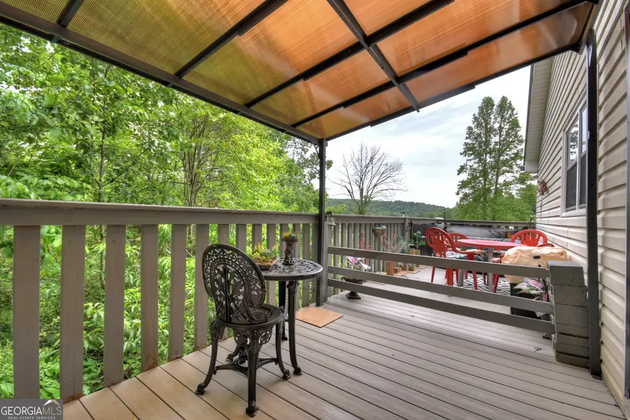 1359 Salem Road, Mineral Bluff, GA 30559 - #2