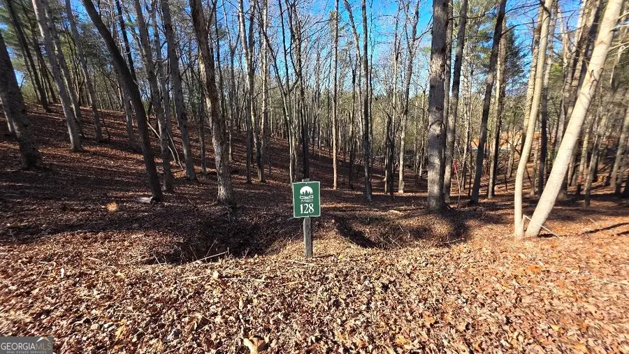 128R Red Oak Trail, East Ellijay, GA 30540 - #2