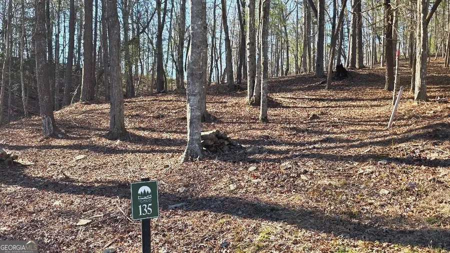 135 Red Oak Trail, East Ellijay, GA 30540 - #2