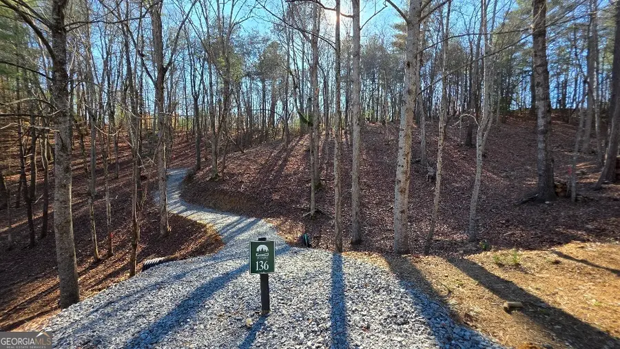 136 Red Oak Trail, East Ellijay, GA 30540 - #2
