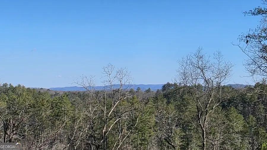 155 Rhondas Way, East Ellijay, GA 30540 - #3