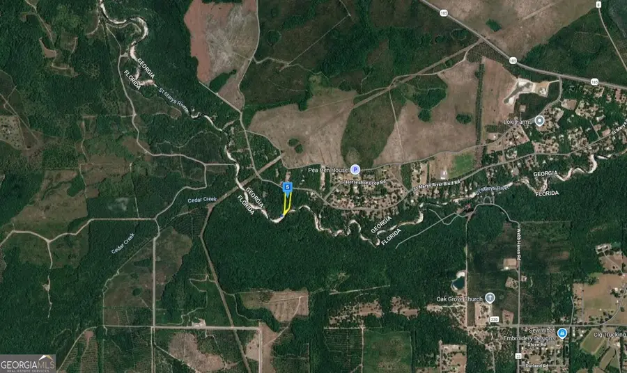 1801 St Marys River Bluff Road, Saint George, GA 31562 - #2