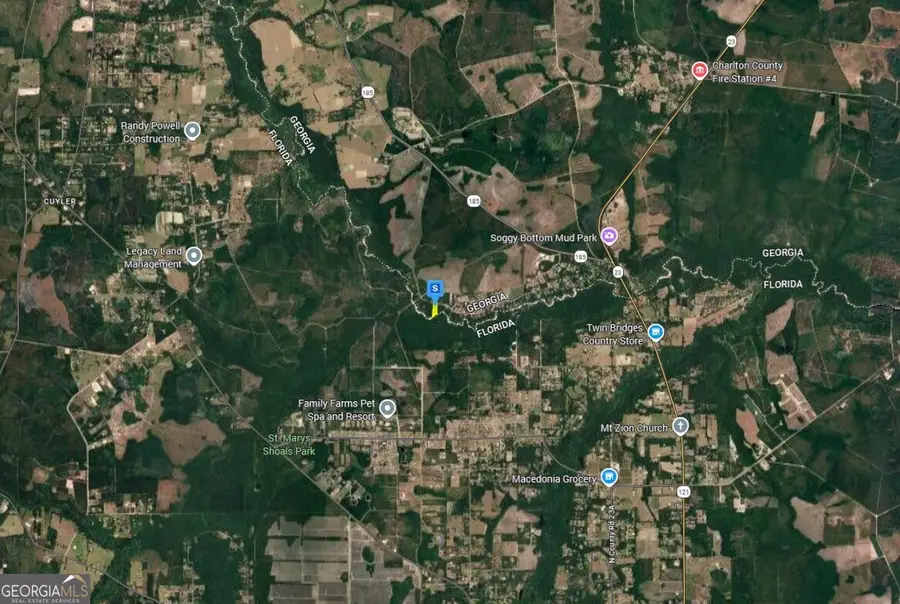 1801 St Marys River Bluff Road, Saint George, GA 31562 - #3