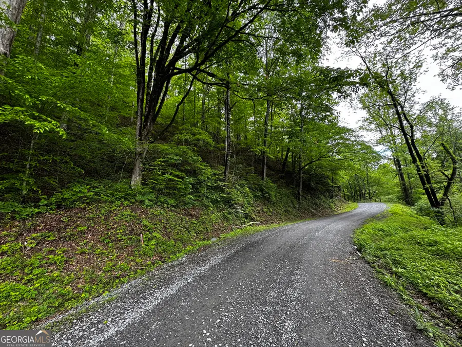 0 Fisher Creek Road, Talking Rock, GA 30175 - #3