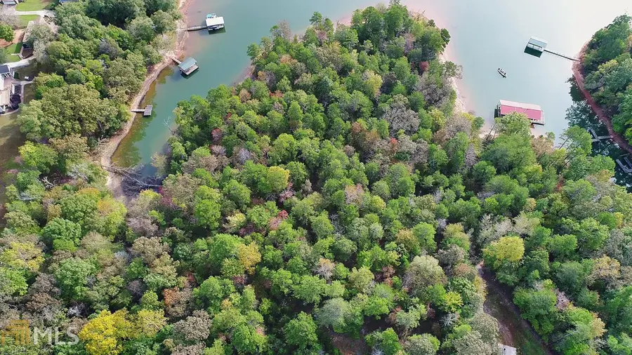 0 Seraph Pointe Road #1, Lavonia, GA 30553 - #2